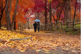 Weerbeeld blijft zacht voor de tijd van het jaar