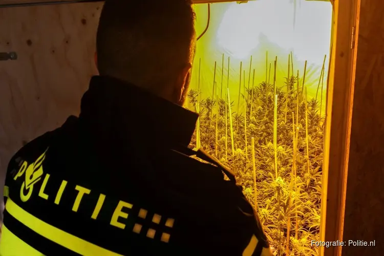 Hennepkwekerij ontdekt in Heerle