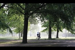 Brabanders steeds minder actief, minder dan helft voldoet aan beweegrichtlijn