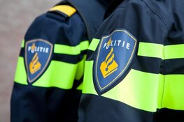 Automobilist gearresteerd na doldwaze rit vol heftige incidenten