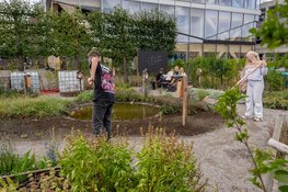 25 scholen starten dit jaar met een groen en klimaatbestendig schoolplein