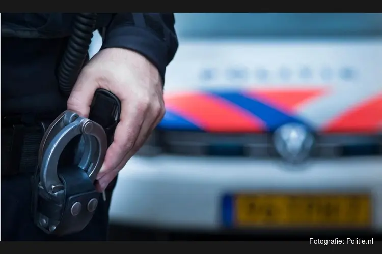 Automobilist aangehouden na negeren stopteken en verzet tegen politie